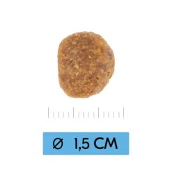 Vetality Adult Medium - Cibo per cani
