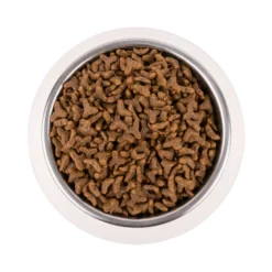 Vetality Gastrointestinal - Cibo per Gatti