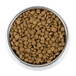 Vetality Gastrointestinal - Cibo per Cani