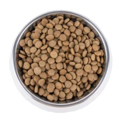 Vetality Gastrointestinal Low Fat - Cibo per cani