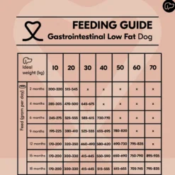 Vetality Gastrointestinal Low Fat - Cibo per cani