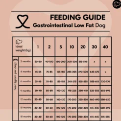 Vetality Gastrointestinal Low Fat - Cibo per cani
