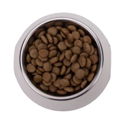 Vetality Gastrointestinal Low Fat - Cibo per cani