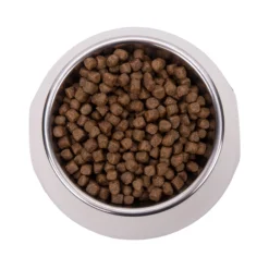 Vetality Hypoallergenic - Cibo per Gatti