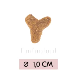 Vetality Skin Support - Cibo per Gatti