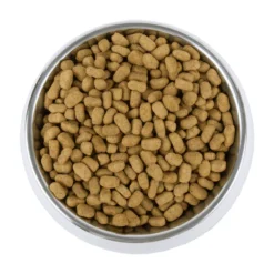 Vetality Weight Management - Cibo per Cani