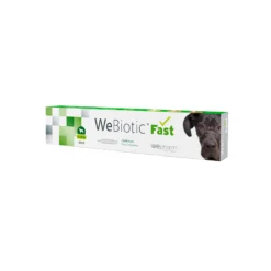 Wepharm WeBiotic Fast - Pasta
