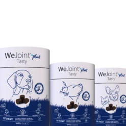 WePharm WeJoint Plus Tasty
