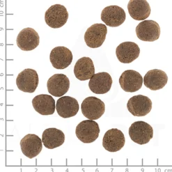 Wolfsblut Vetline Gastrointestinal - Cibo per Cani