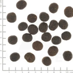 Wolfsblut VetLine Joint Care - Cibo per Cani