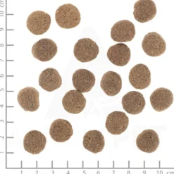 Wolfsblut Vetline Weight Management - Cibo per Cani