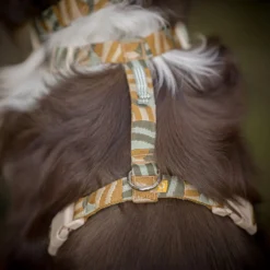 Woolly Wolf Cloudbeam Harness