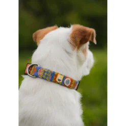 Woolly Wolf Nightless Night Collar