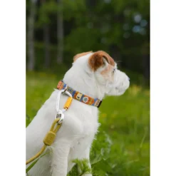 Woolly Wolf Nightless Night Collar