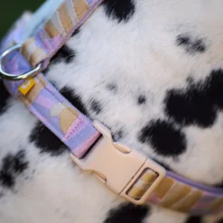 Woolly Wolf Sunshower Harness