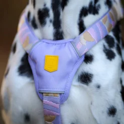 Woolly Wolf Sunshower Harness
