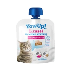 YowUp! L. Casei Immune System Gatto